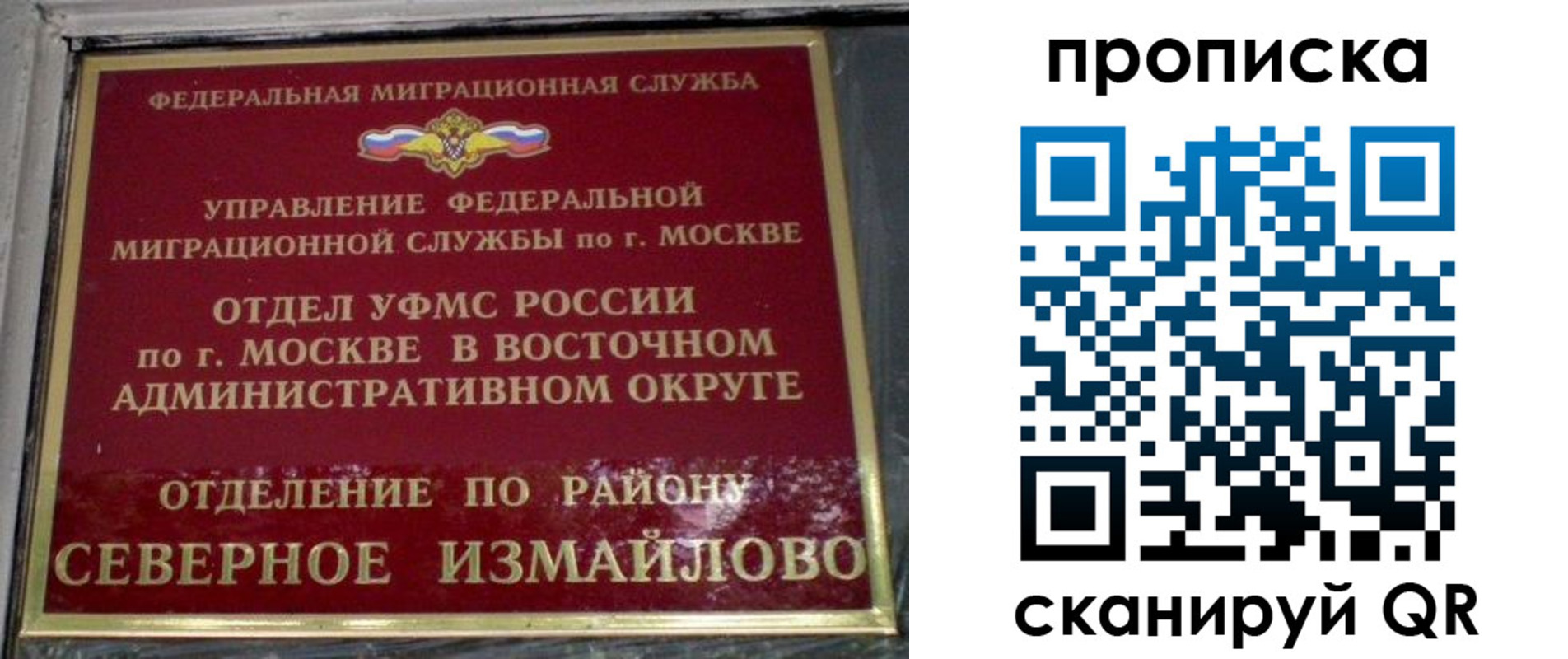 купить прописку в Светлом