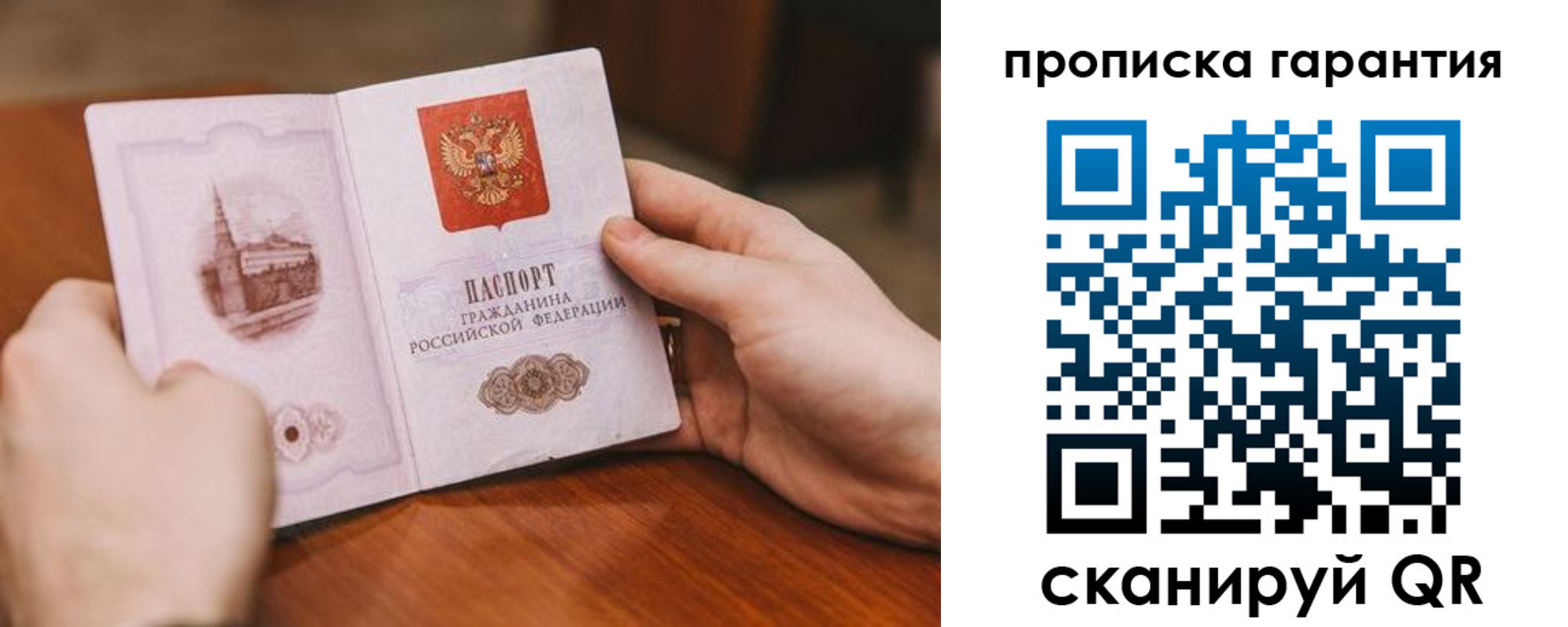 прописка поиск в Светлом